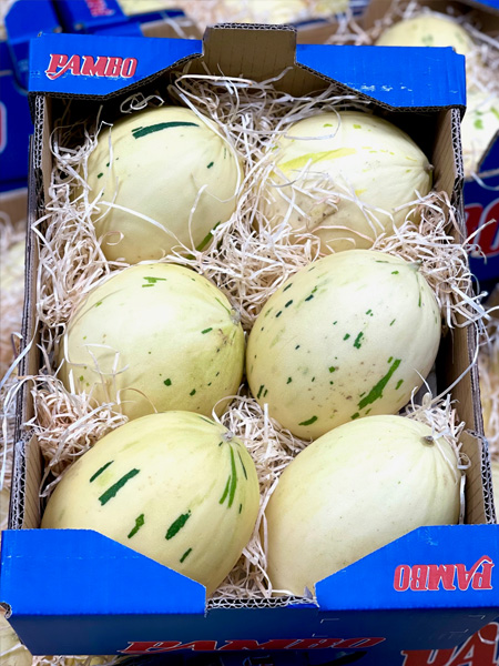 Snowball Melonen Spanien