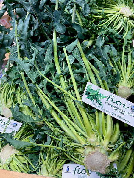 Broccolo Fiolaro aus Italien