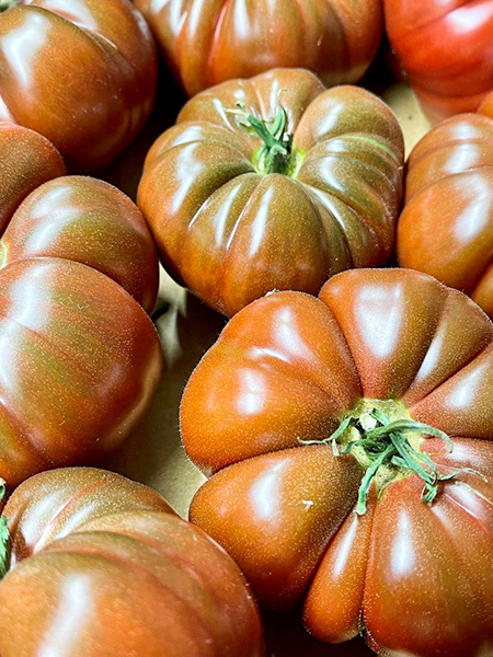 Tomaten Noire de crimeé - Frankreich