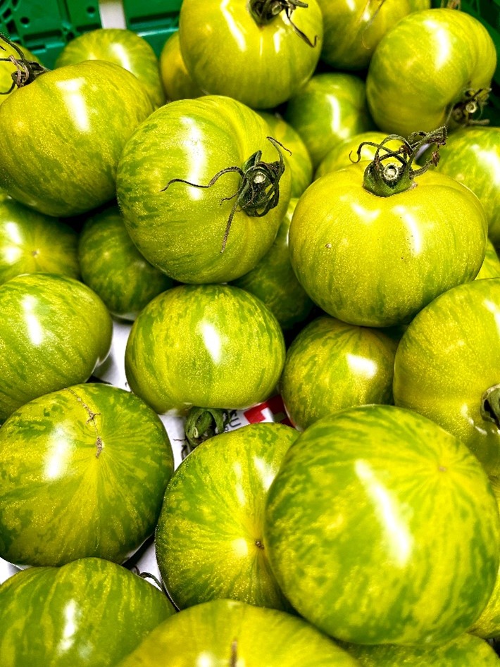 Tomaten Green Zebra im Ifco