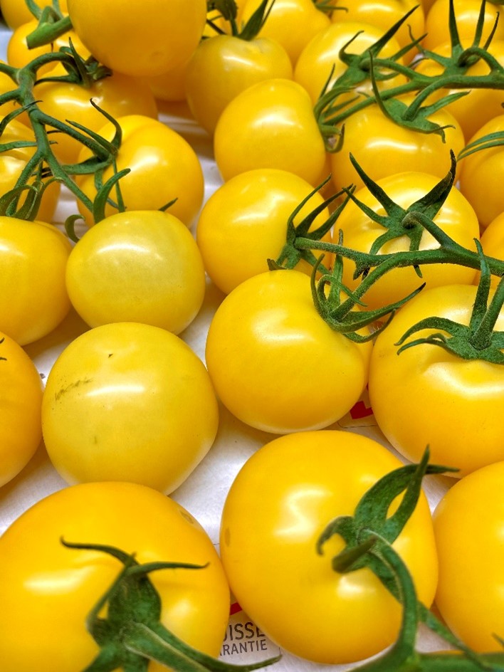 Tomaten Ramati gelb - Schweiz