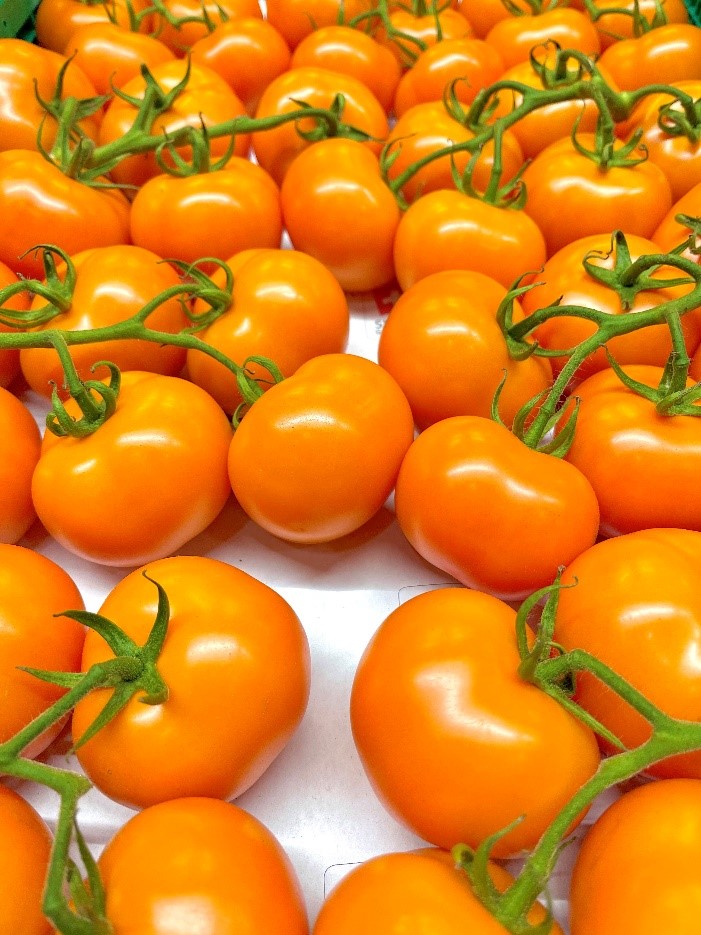 Tomaten Ramati orange