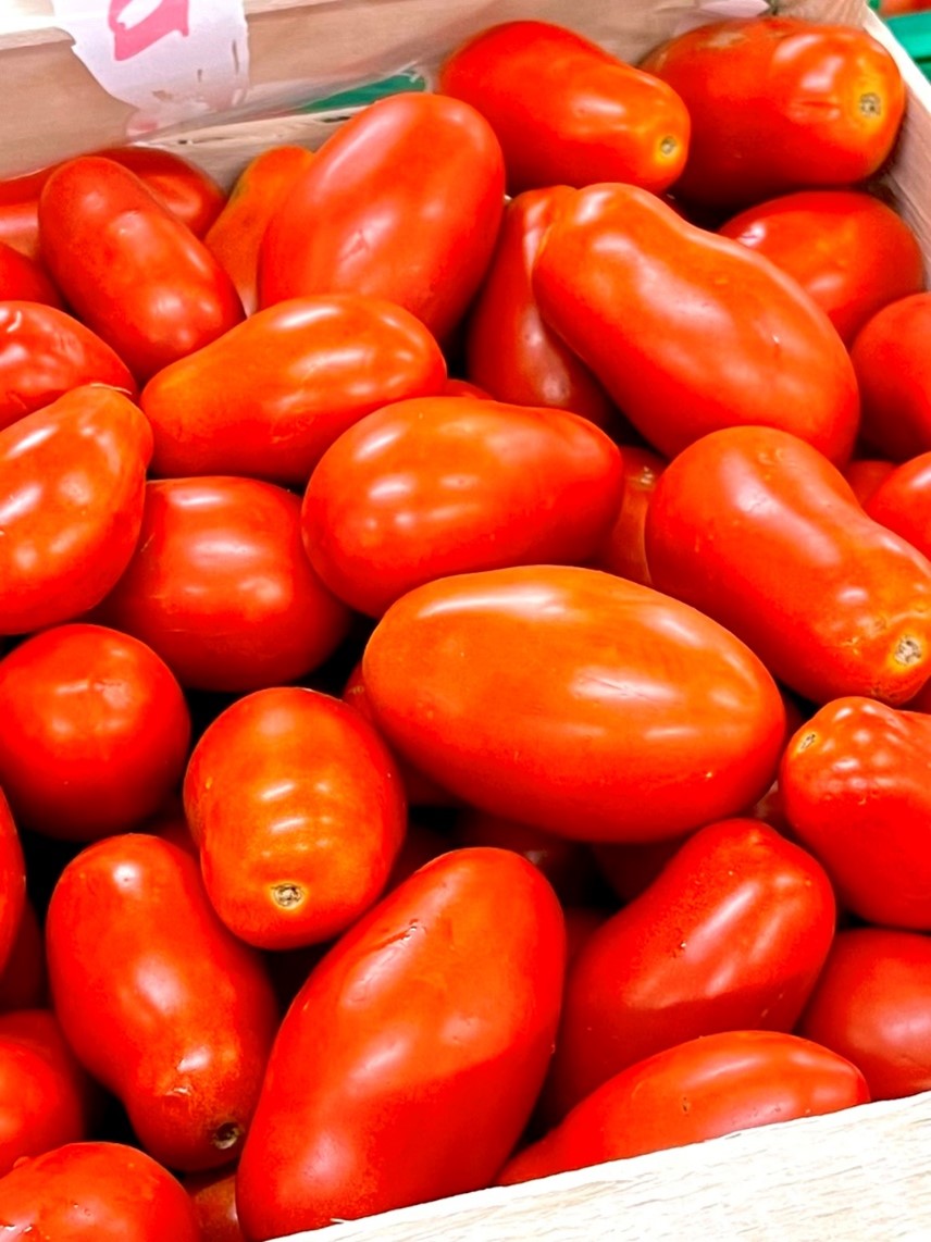 Sugo Tomaten aus Italien