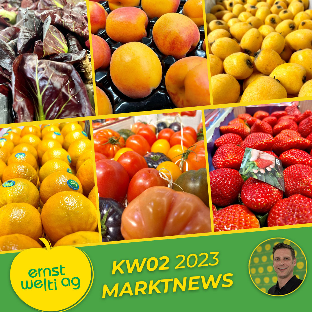 Früchte & Gemüse - Marktnews Ernst Welti AG - Engrosmarkt Zürich