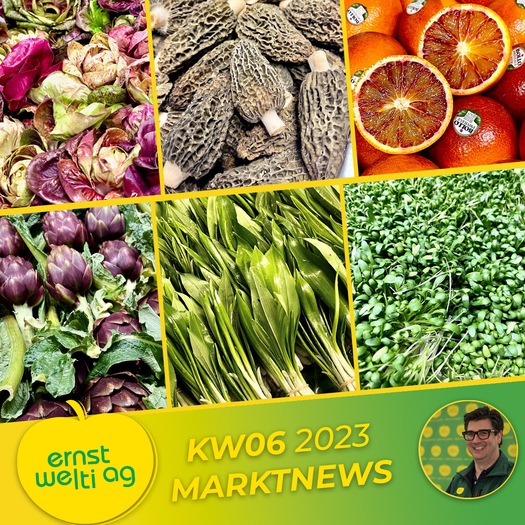 Marktnews KW6 - Früchte & Gemüse 2023 - Zürcher Engrosmarkt