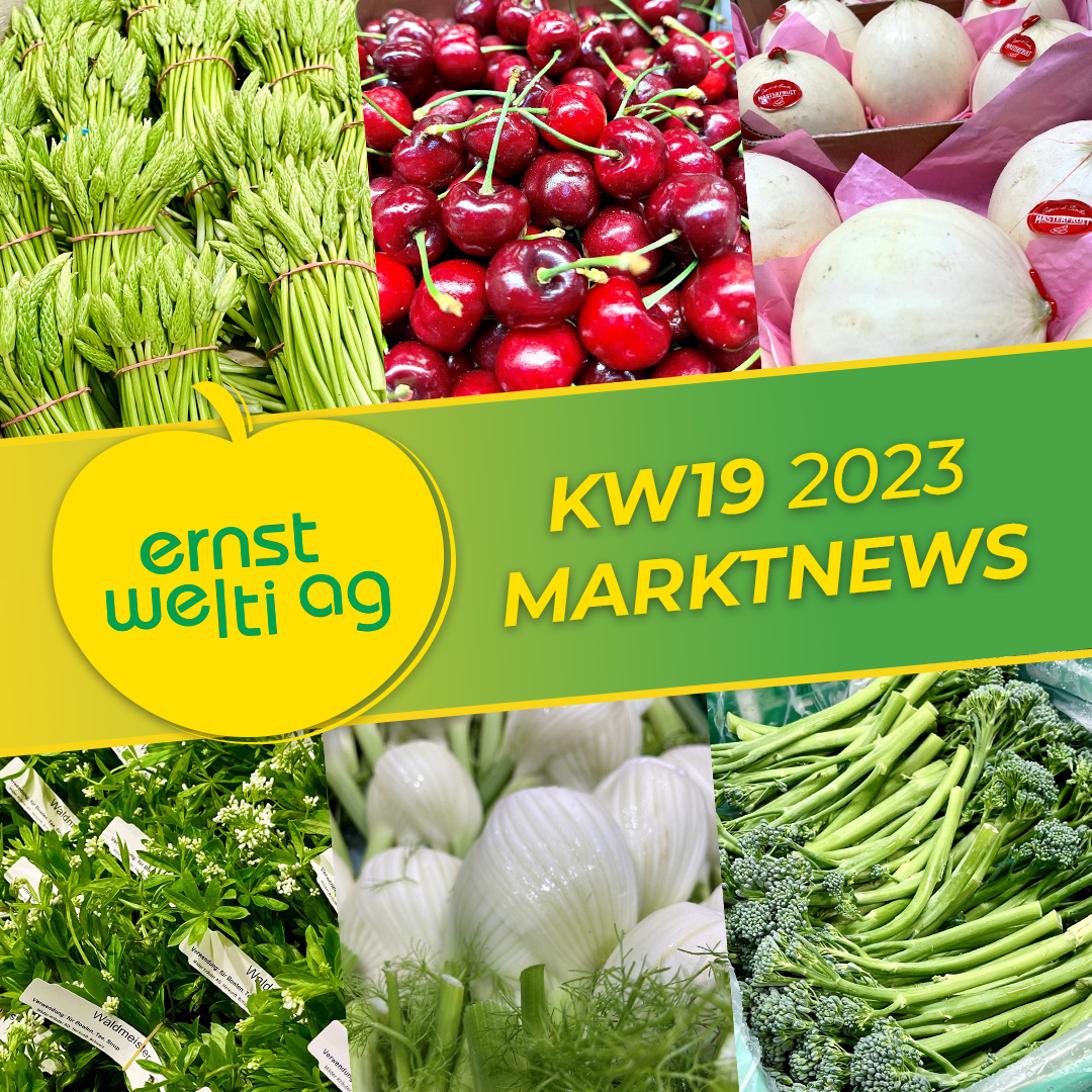 Grosshandel Zürich - saisonale Früchte & Gemüse KW19 2023
