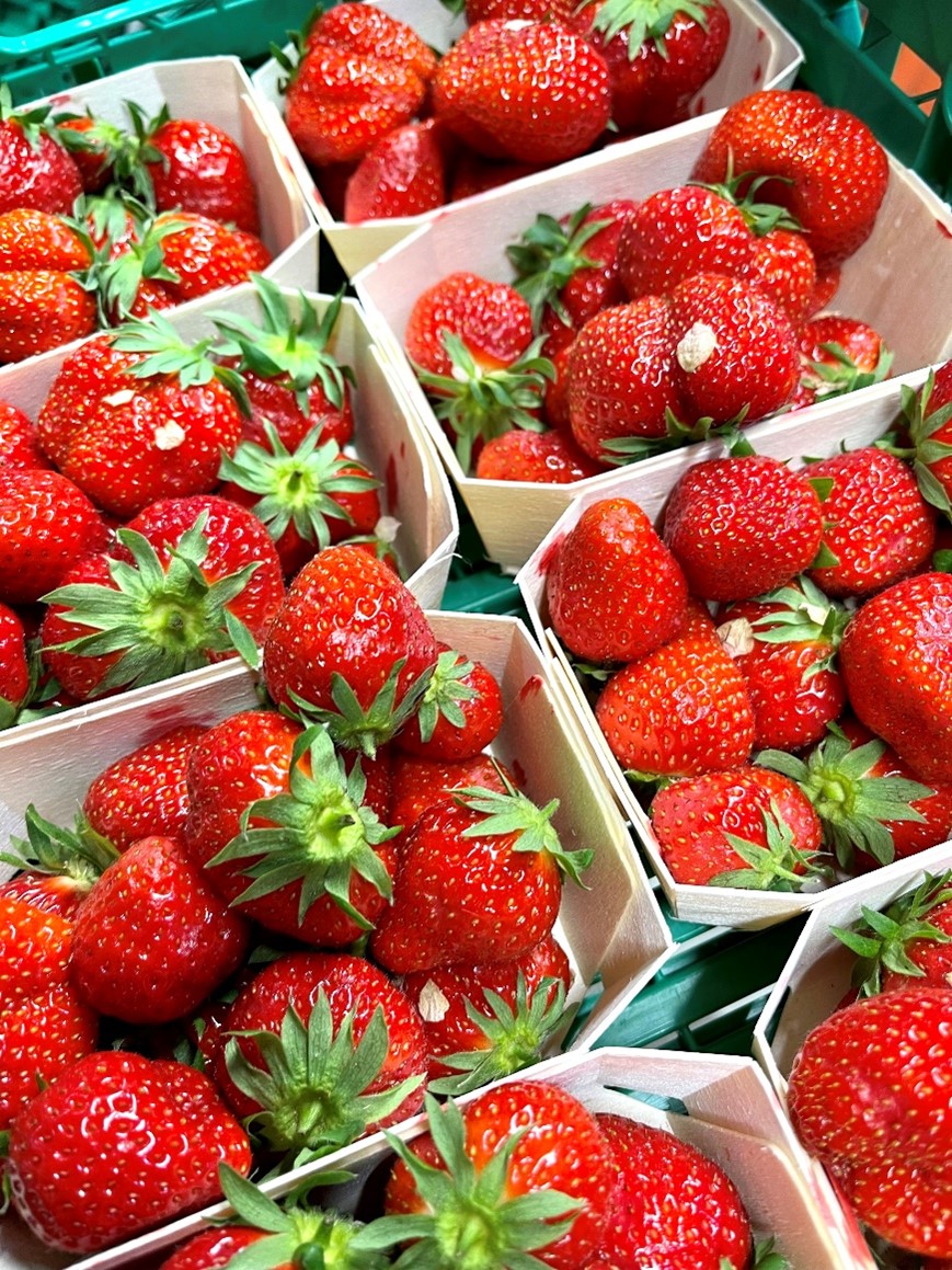 Erdbeeren Mara de Bois Schweiz Grosshandel