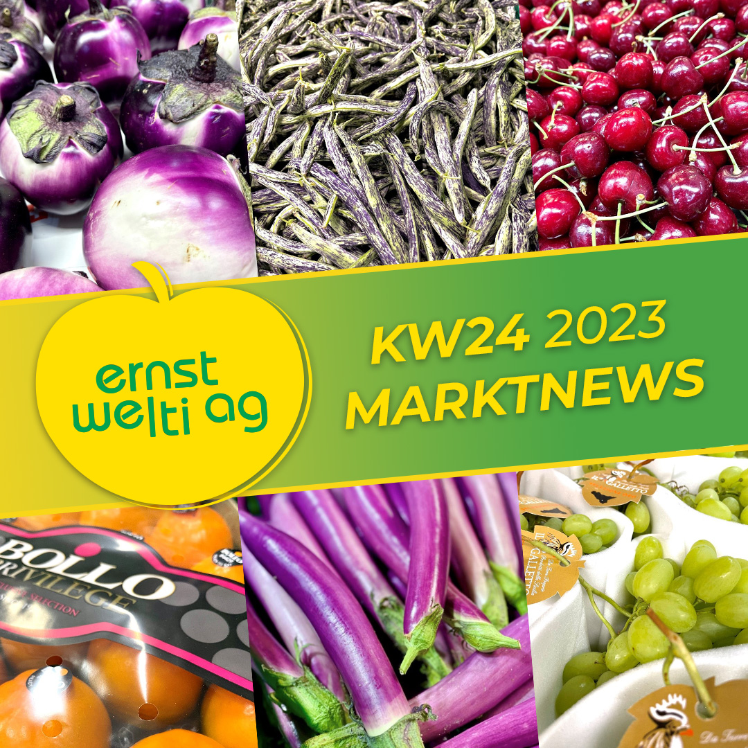 Grosshandel Zürich - saisonale Früchte & Gemüse KW24 2023
