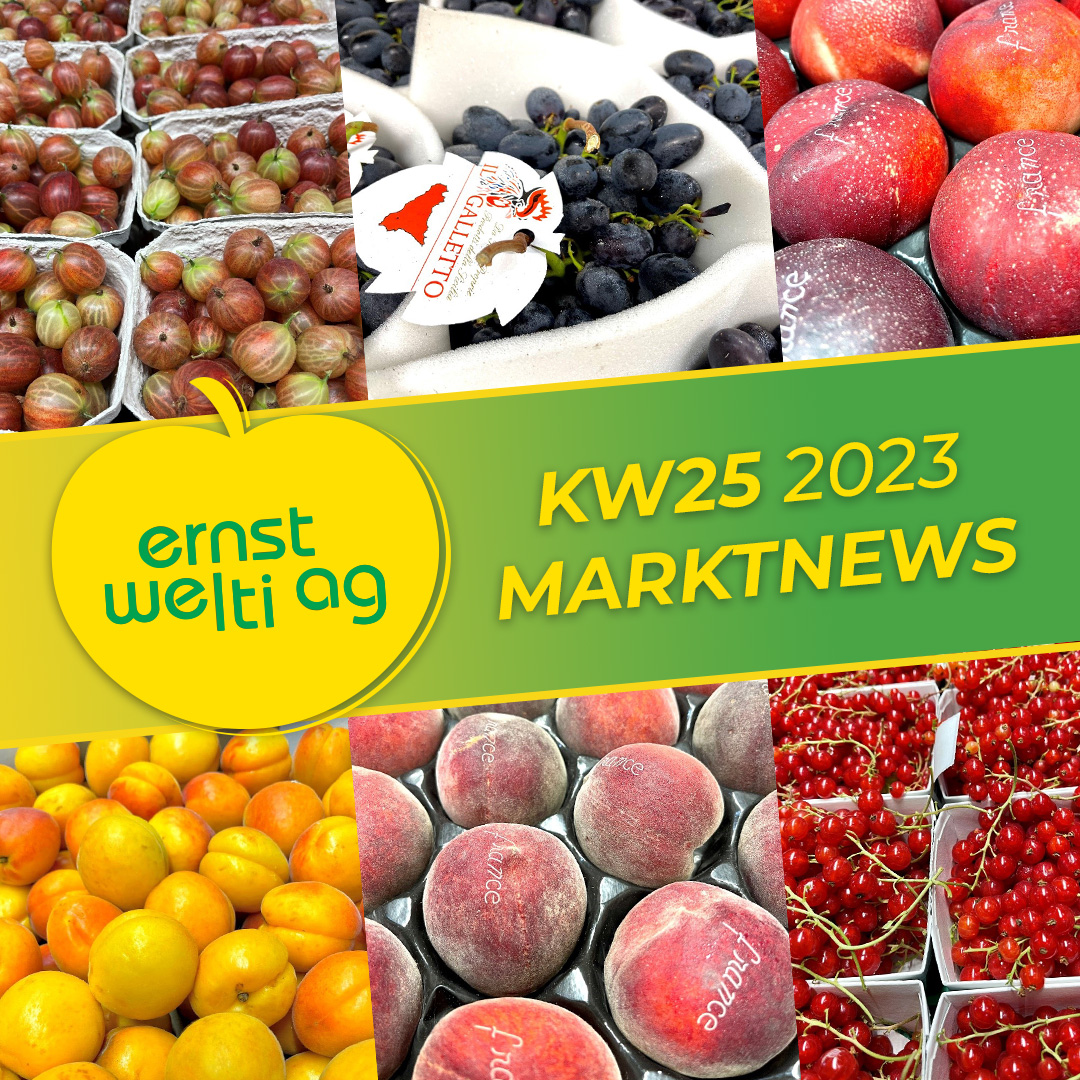Grosshandel Zürich - saisonale Früchte & Gemüse KW25 2023