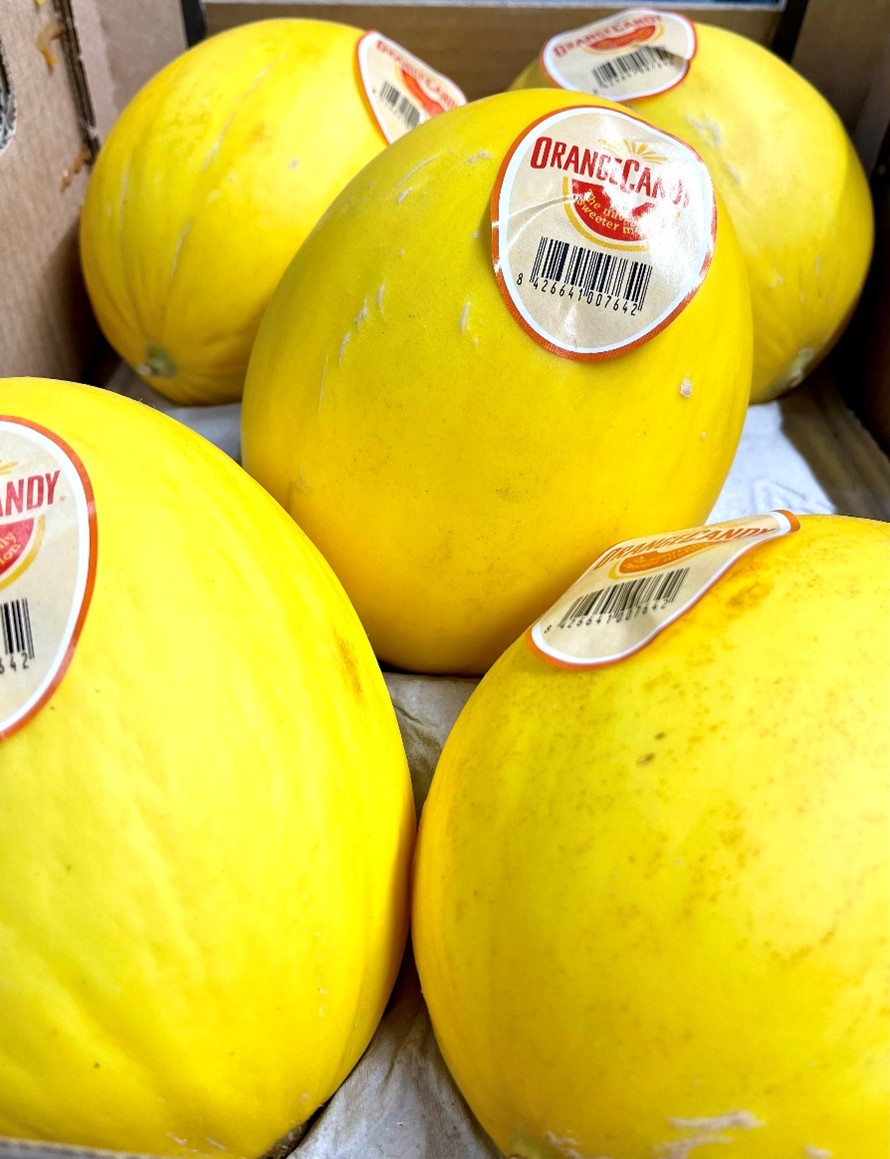 Topaz Melone Spanien - Grosshandel engros