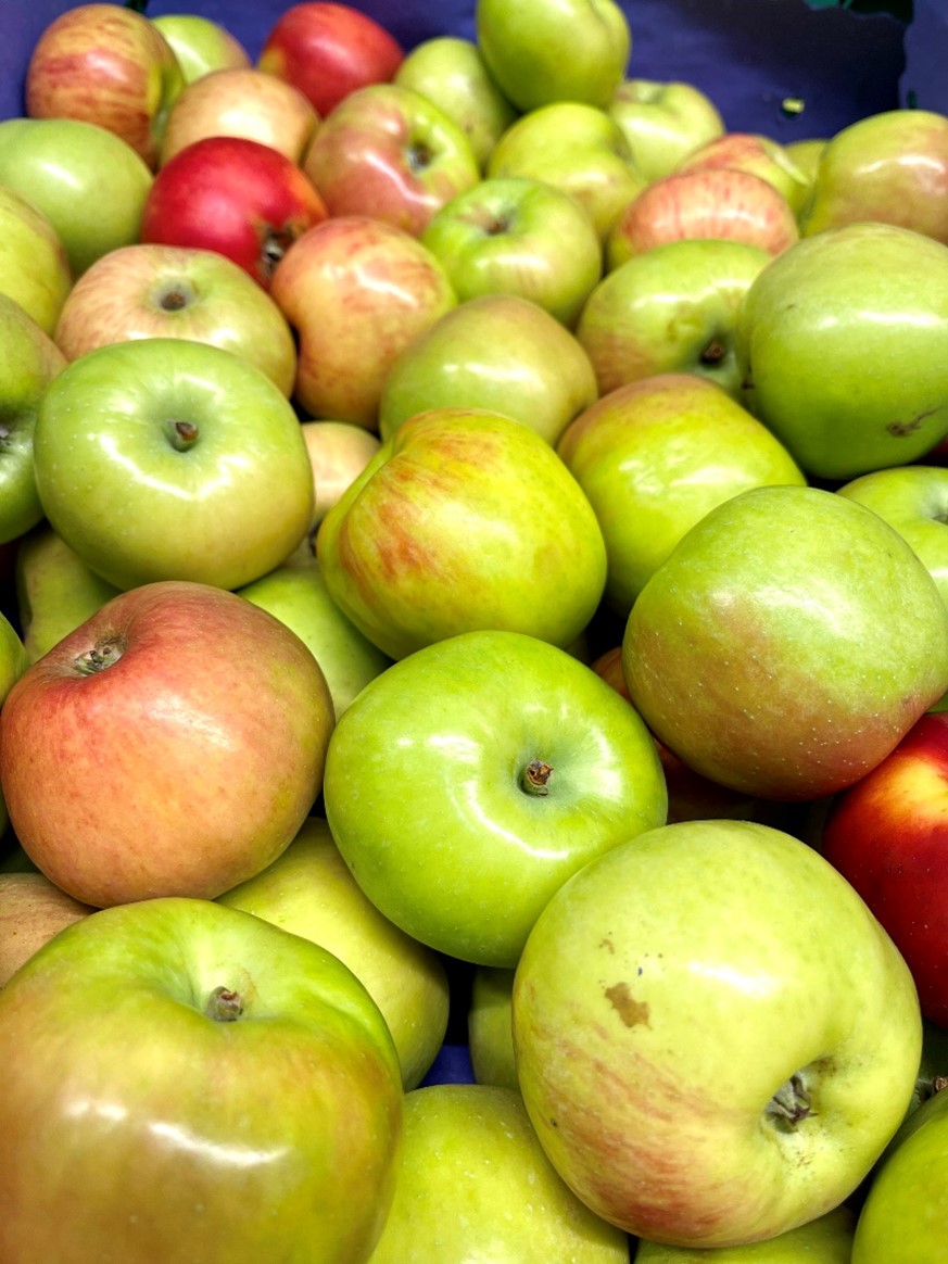 Äpfel Gravensteiner - Grosshandel - Engros