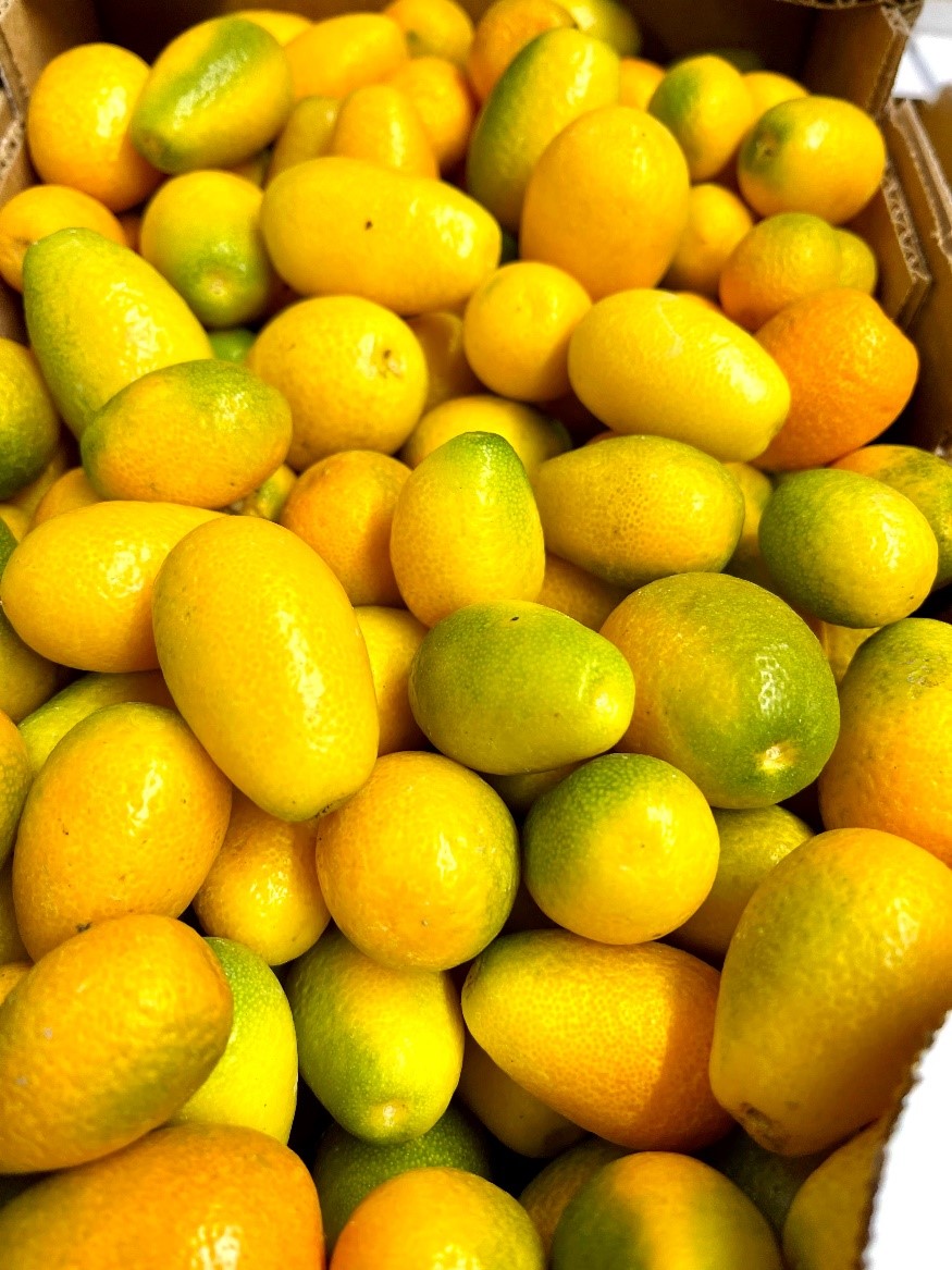 Kumquats Italien