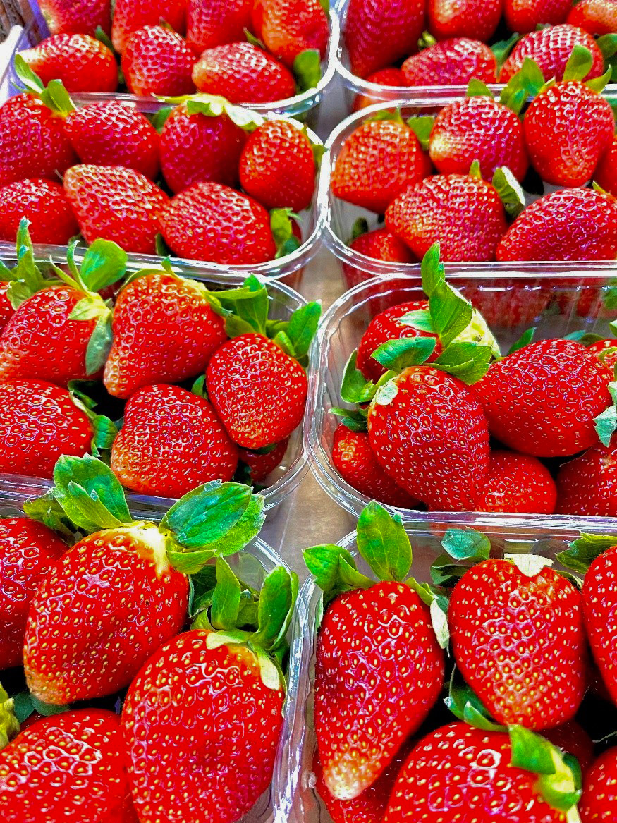 Erdbeeren Italien