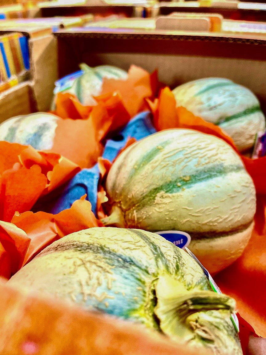 Melone Charentais für die Gastronomie