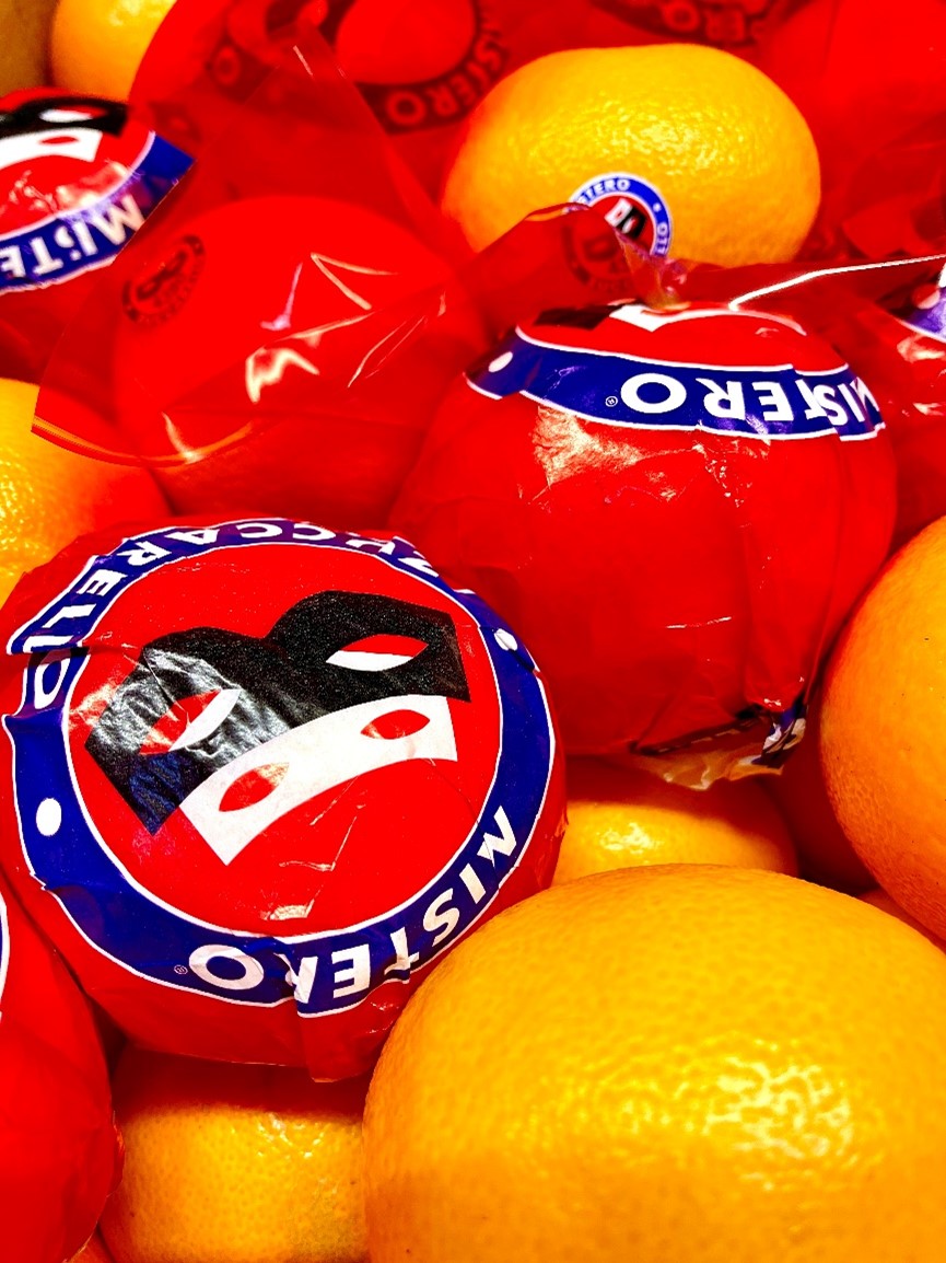 Orangen Moro Zuccarello - Grosshandel - engros
