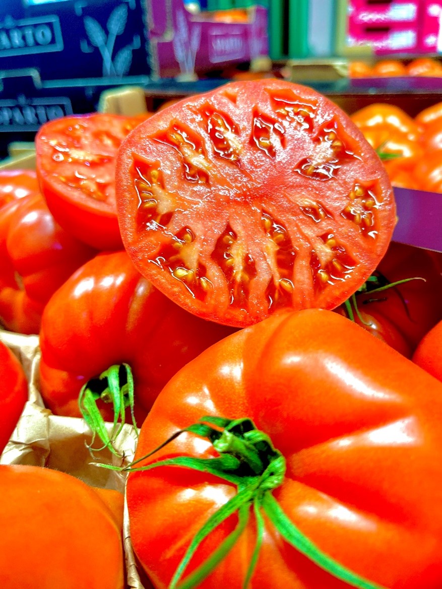 Ochsenherz Tomaten Spanien