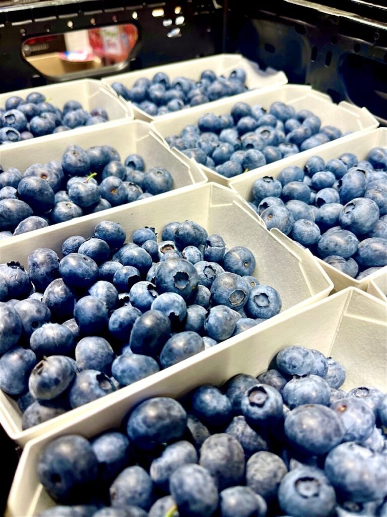 Blaubeeren Schweiz Grosshandel in Schalen