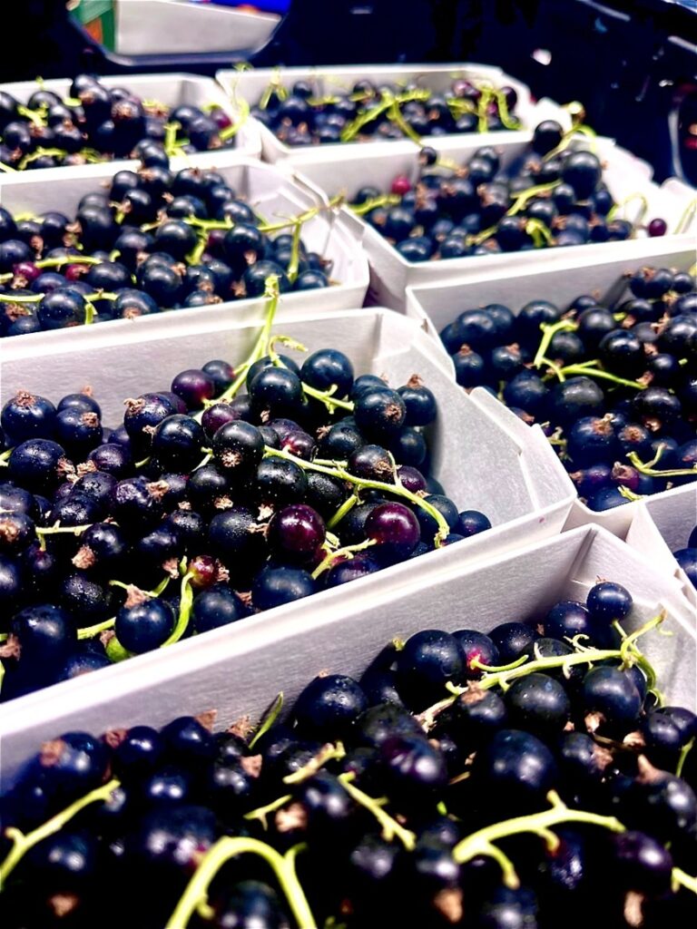 Cassis Schweiz Grosshandel in Schalen