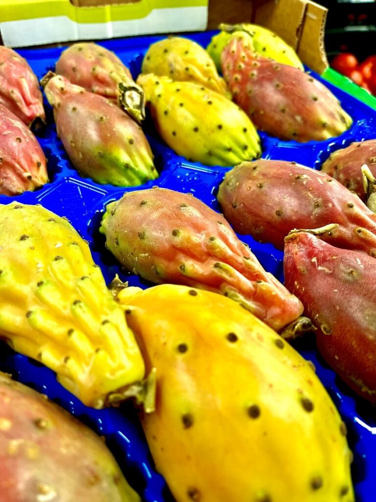Kaktus Feigen Italien