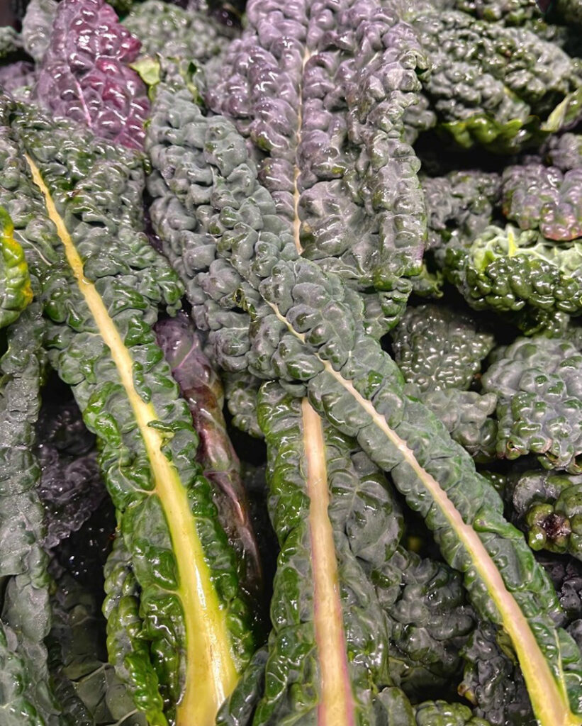 Palmkohl Italien