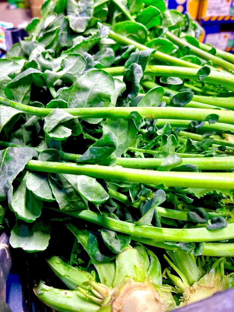 Broccolo Fiolaro Italien