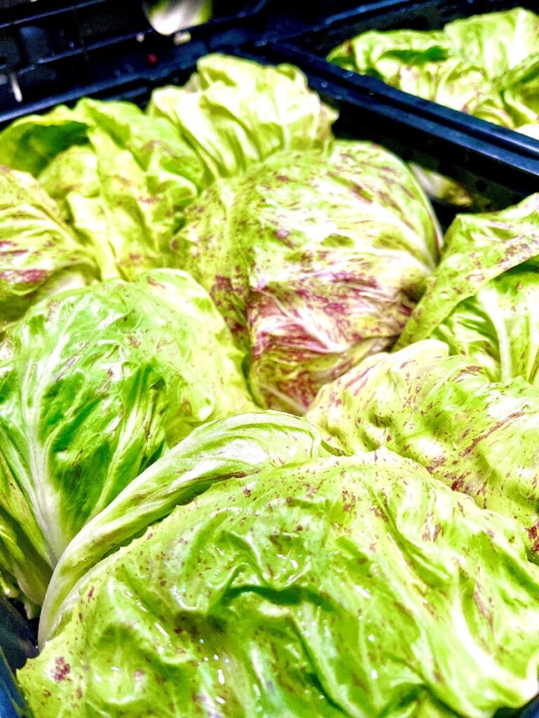Castelfranco Schweiz