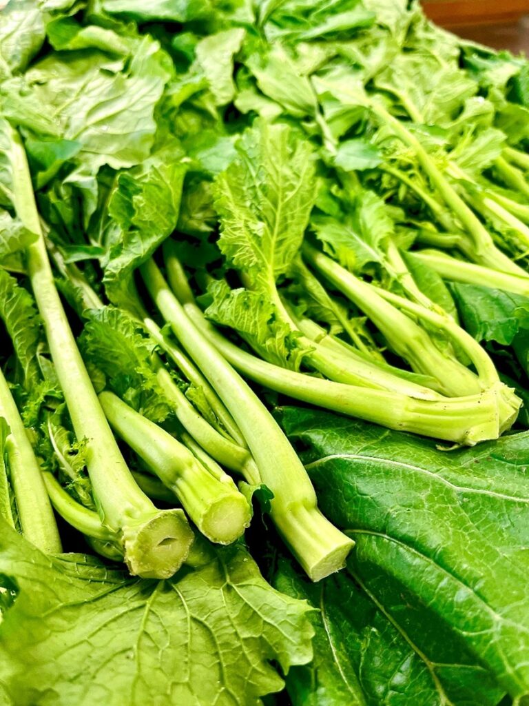 Cima di Rapa Italien