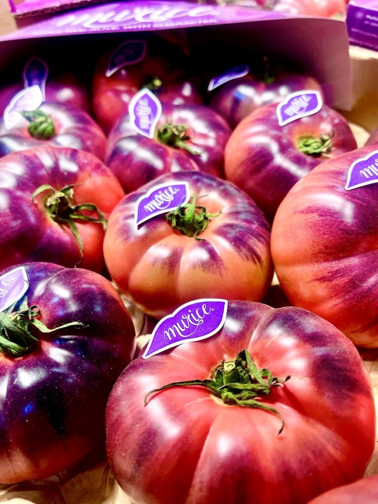 Murice Antociano Tomaten Spanien