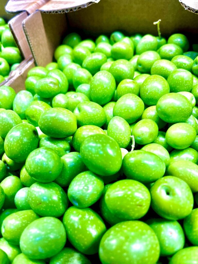 Oliven Gruen Italien