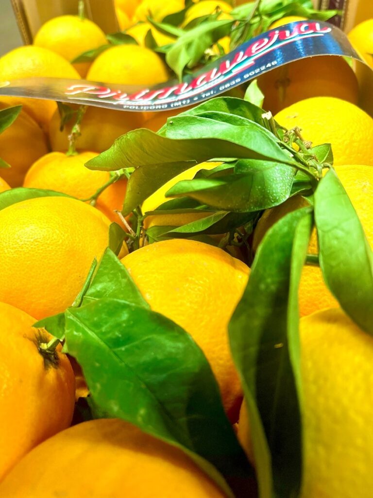 Orangen mit Blatt Italien