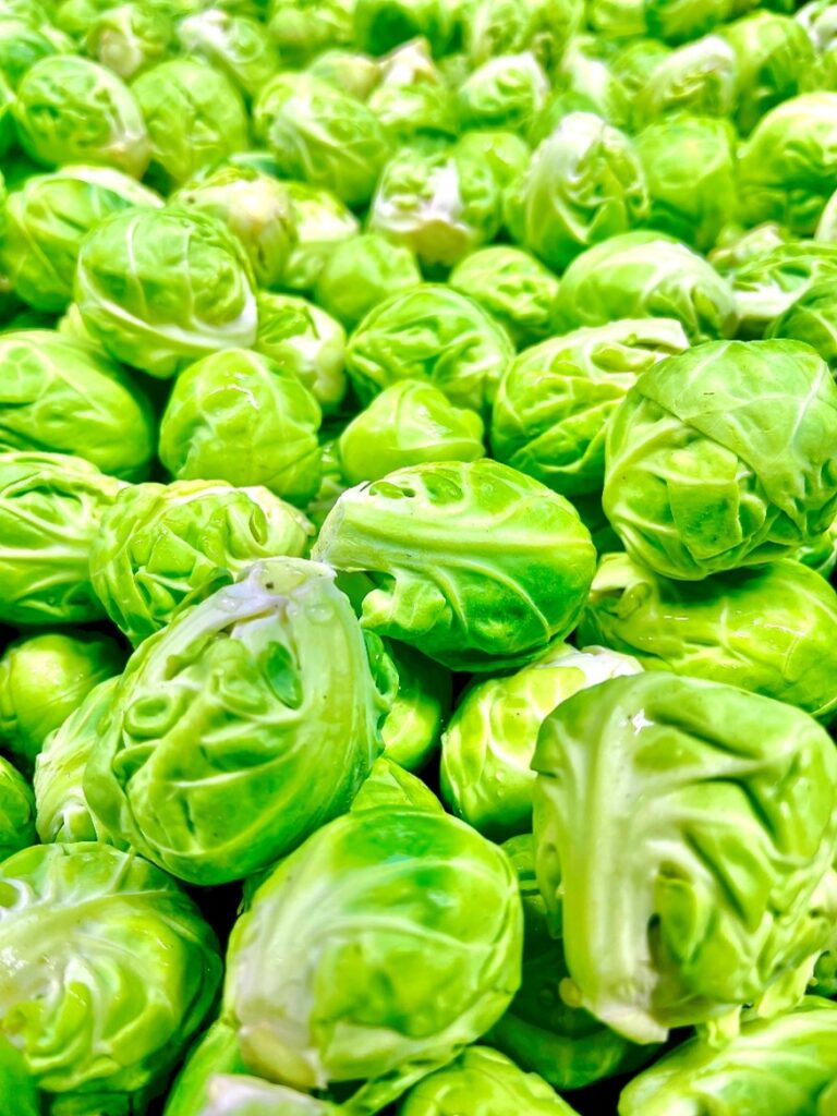 Rosenkohl handgeputzt Schweiz
