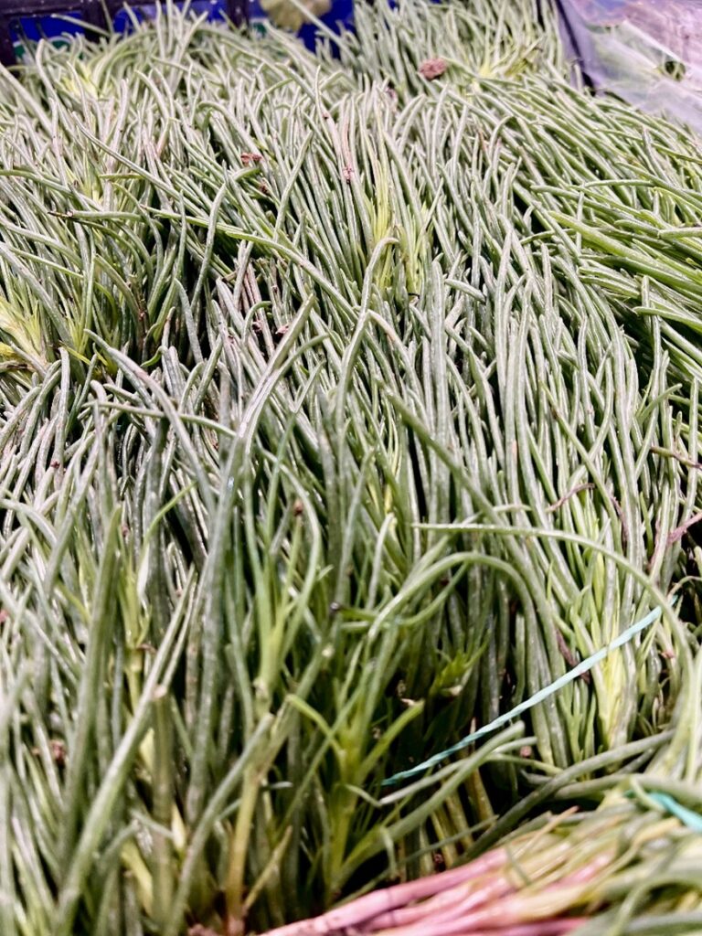 Mönchsbart im Gebinde