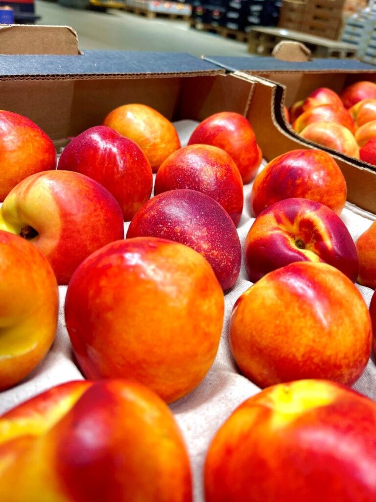 Nektarinen Extra im Karton