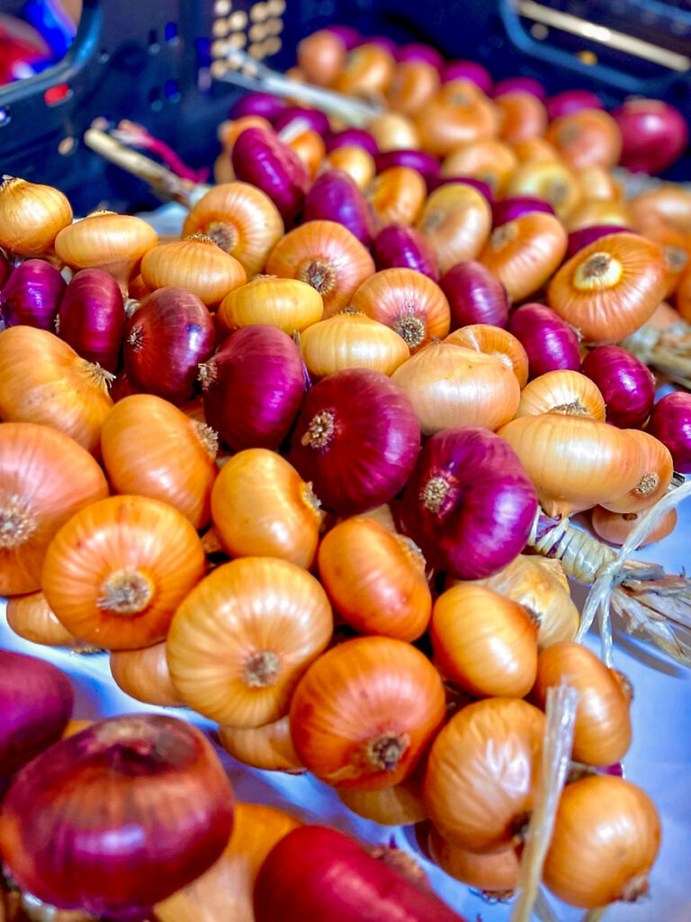Zwiebelzopf im Gebinde