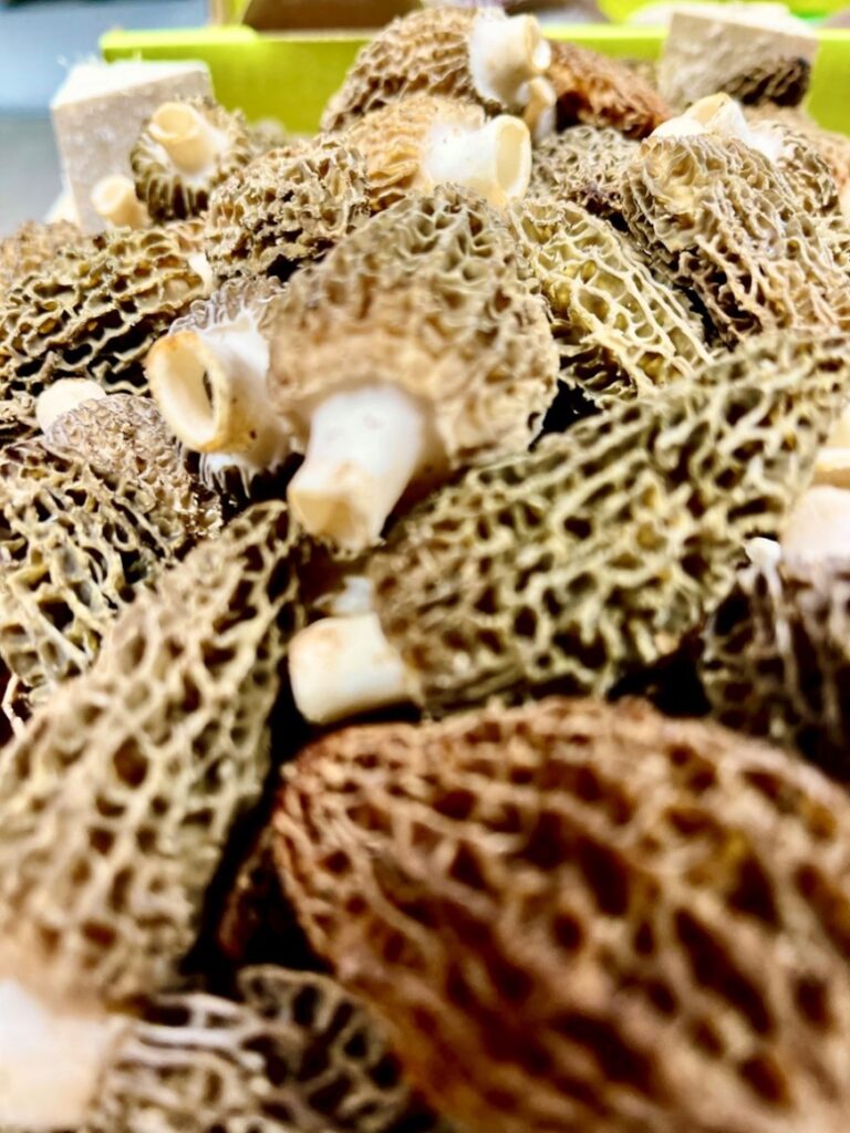 Morcheln frisch China