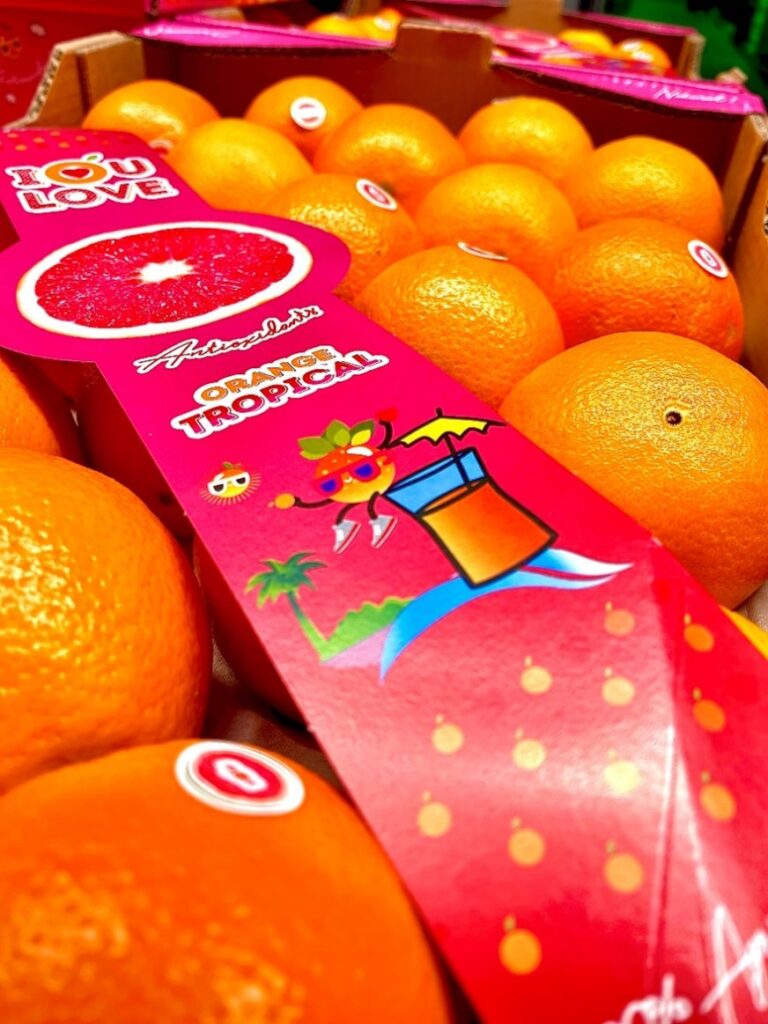 Orangen Cara Cara Spanien