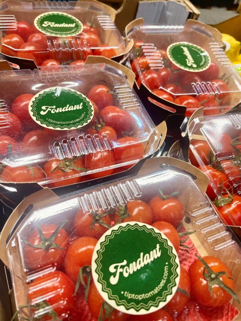 Tomaten Fondant Spanien