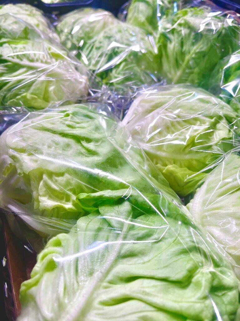 Kopfsalatherzen Italien