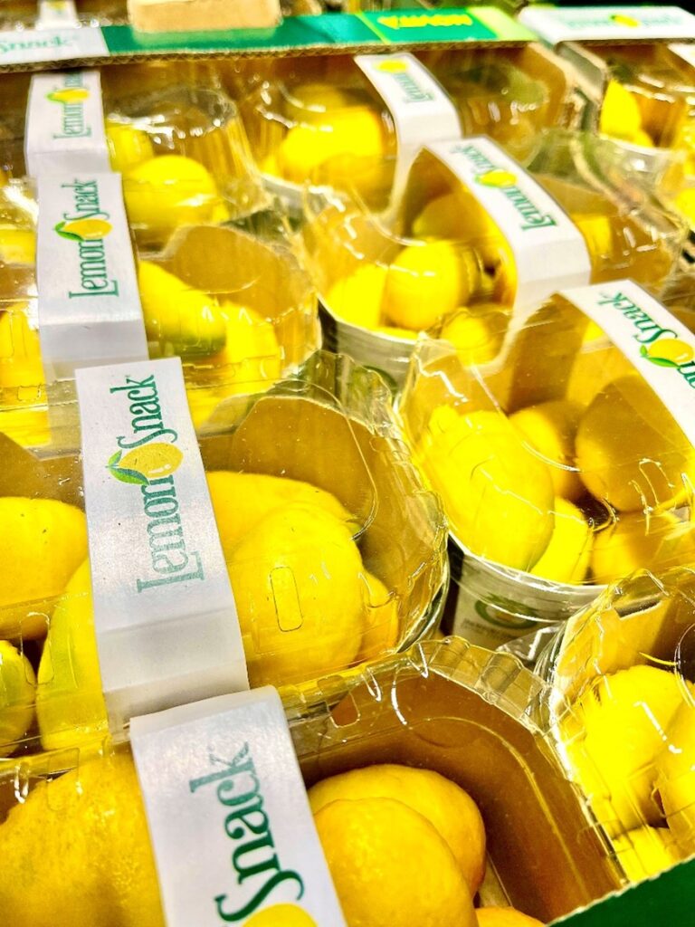 Zitronen Snack
