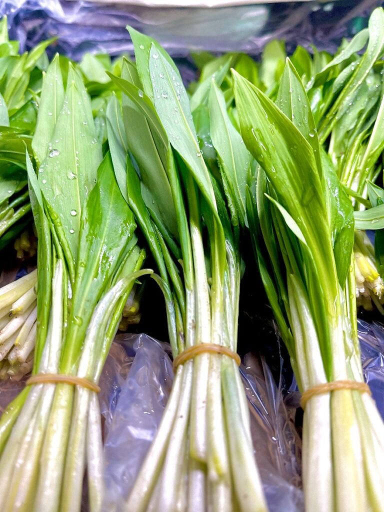 Baerlauch Bund Schweiz