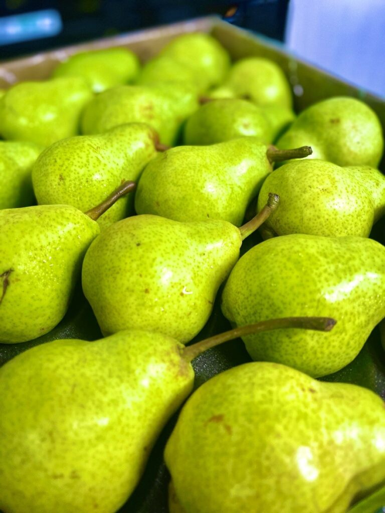 Birne Wlliams Italien