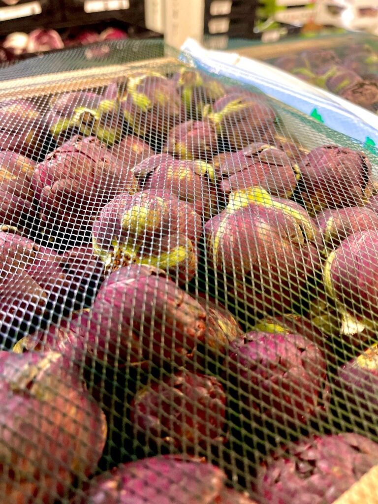 Artischocken Carciofini Italien