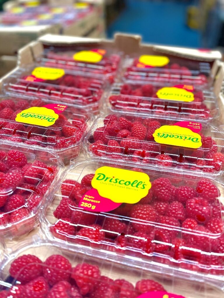 Himbeeren Spanien/Marokko