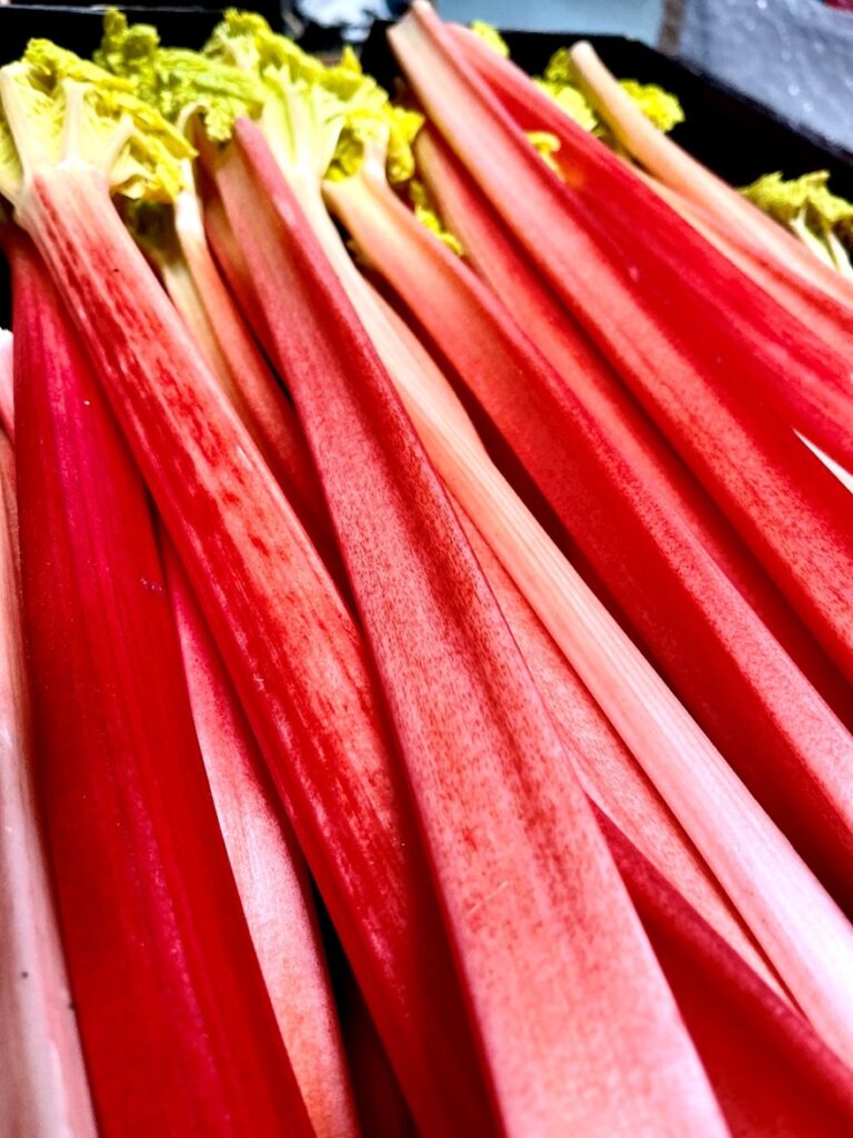 Rhabarber Niederlande