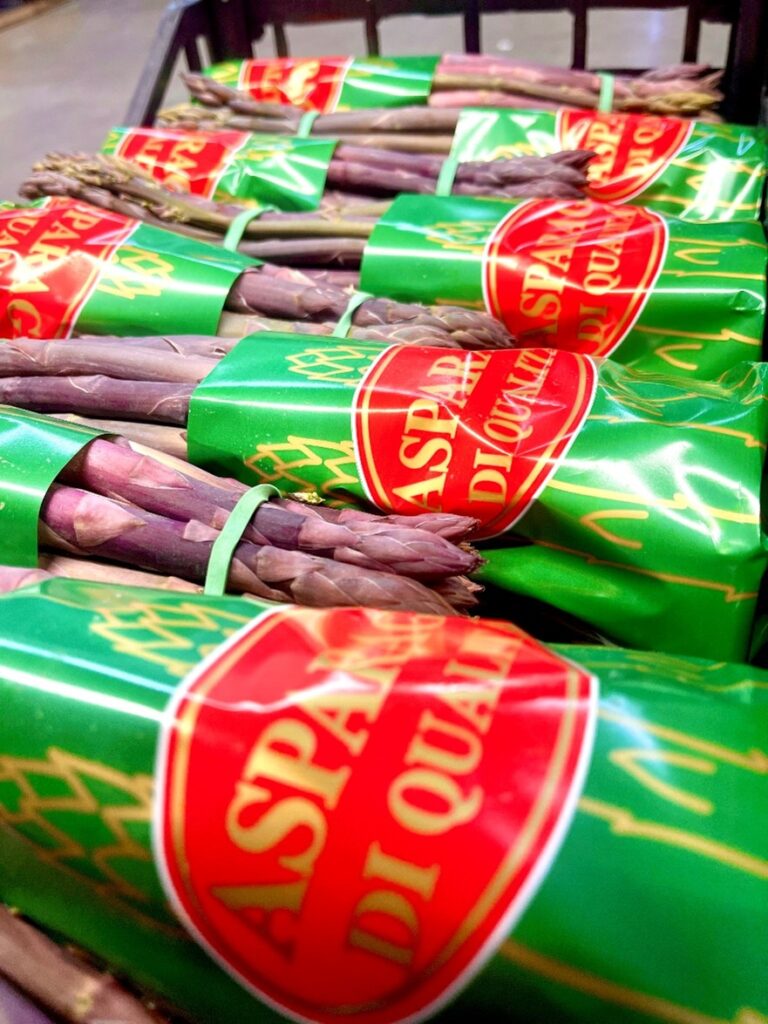 Spargel Violett Italien