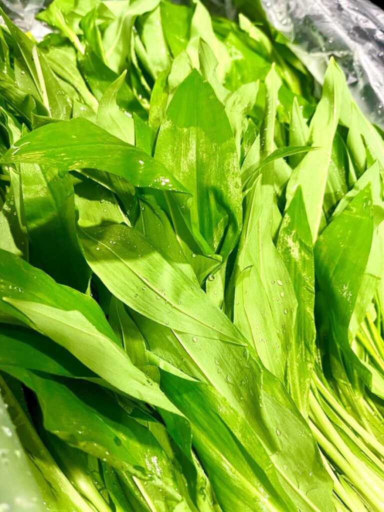 Baerlauch offen Schweiz