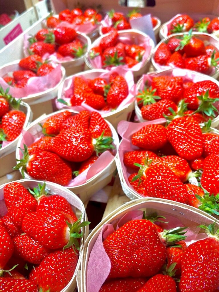 Erdbeeren Gariguette Schweiz