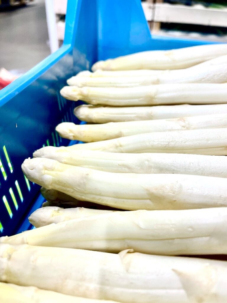 Spargel weiss Niederlande