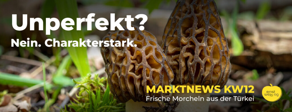 Titelbild Marktnews KW12 2026