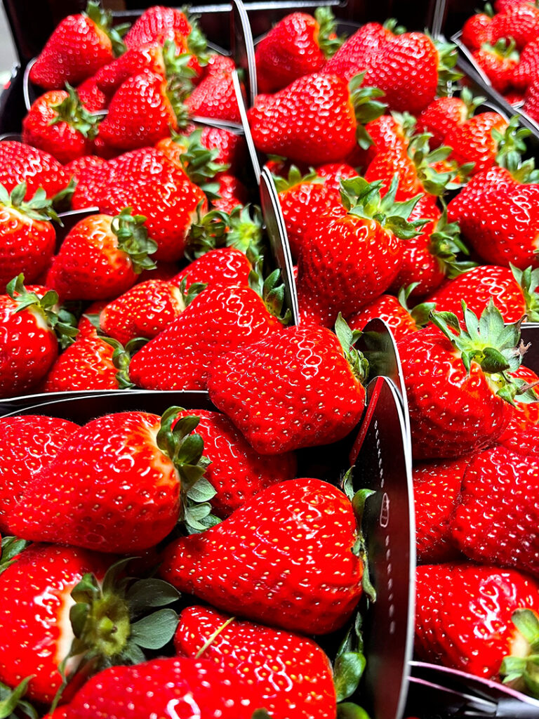 Erdbeeren Niederlande